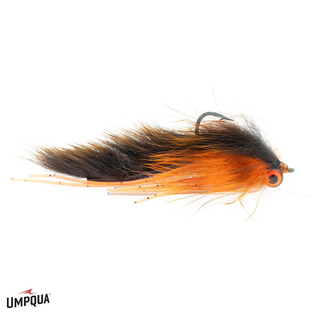 Johnson's Creek Leech