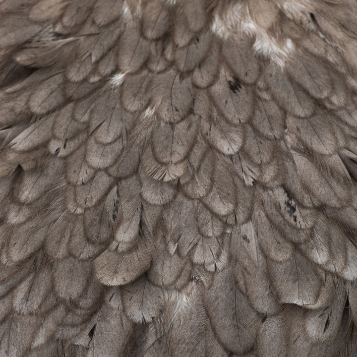 Whiting American Hen Saddles