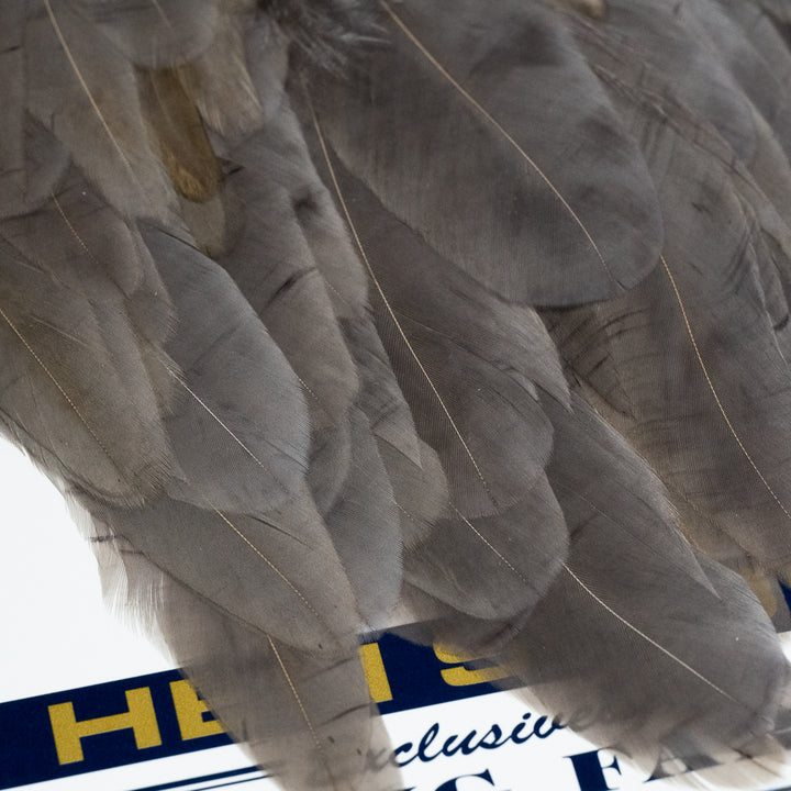 Whiting American Hen Saddles