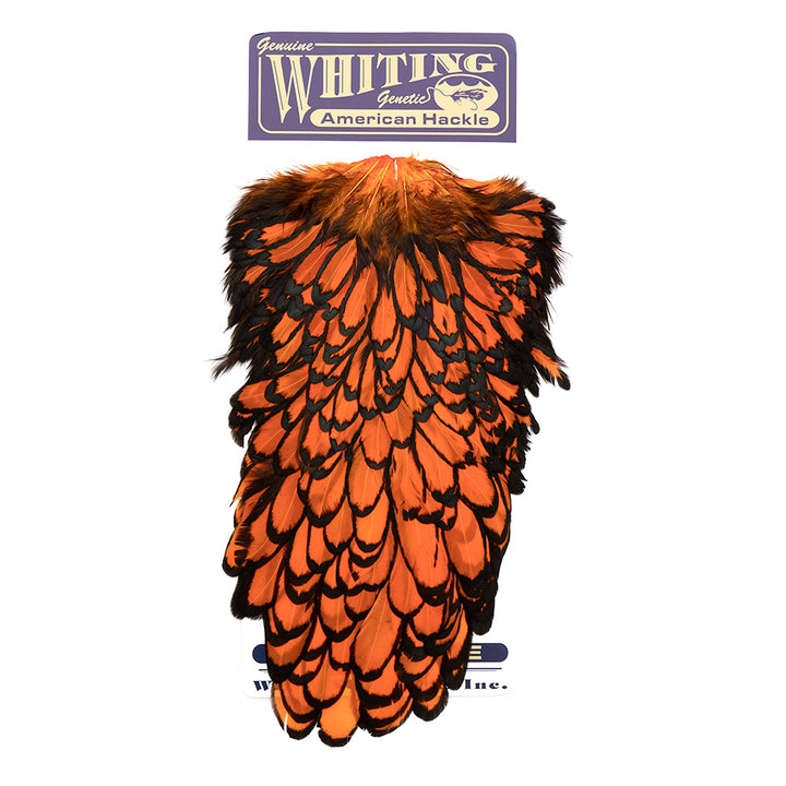 Whiting American Hen Saddles