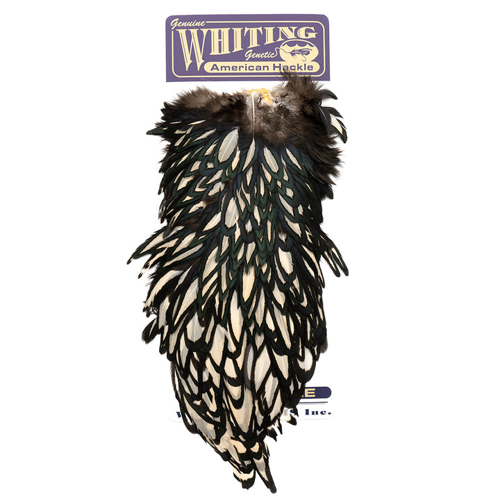 Whiting American Hen Saddles