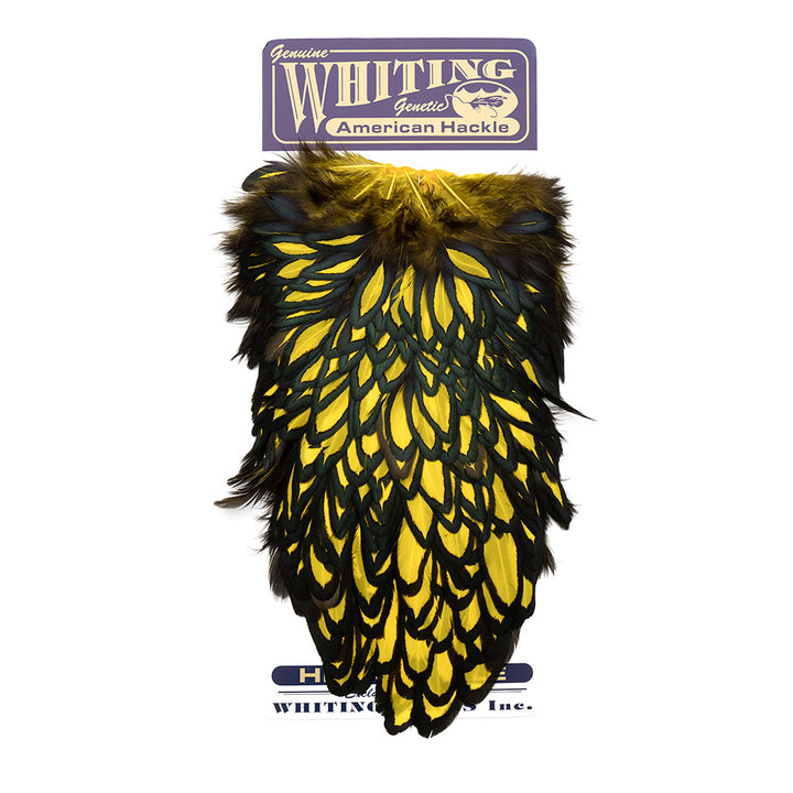 Whiting American Hen Saddles