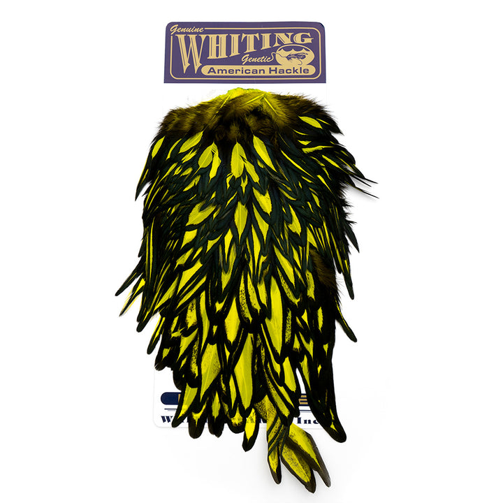 Whiting American Hen Saddles