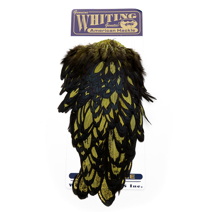 Whiting American Hen Saddles