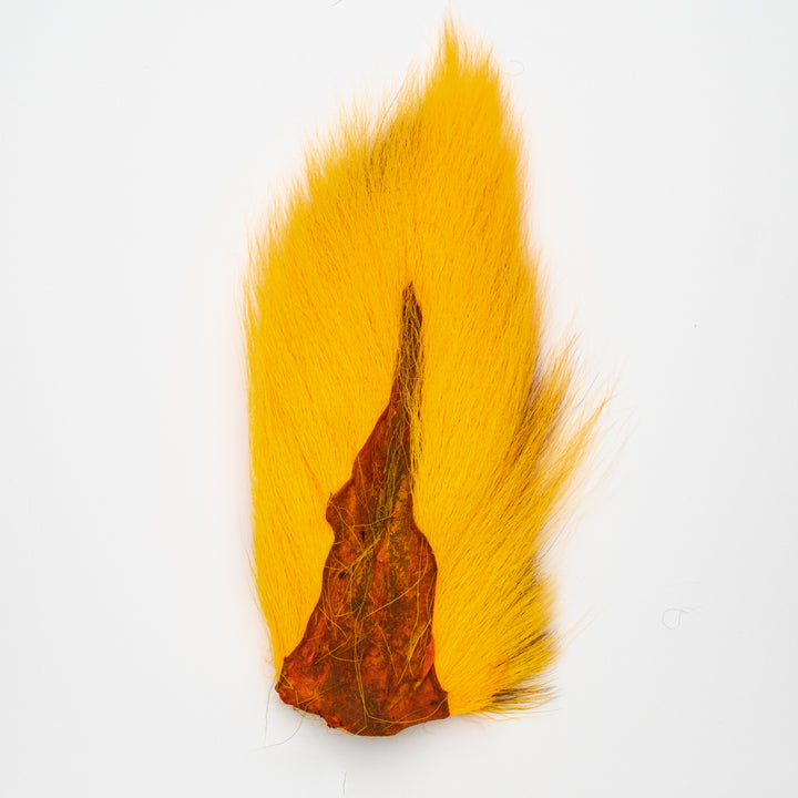 Bucktail, Large