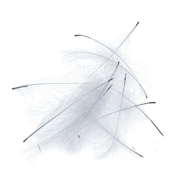 Wapsi CDC Feathers