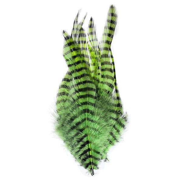 MFC Barred Saddle Hackle