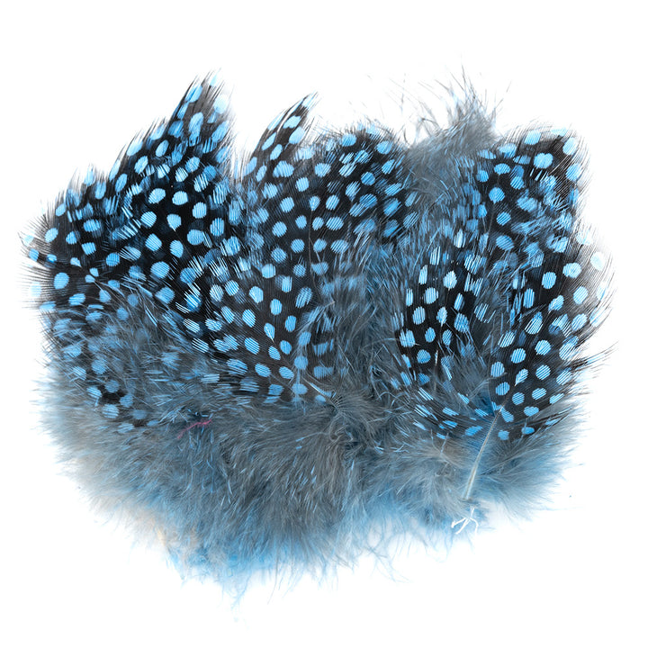 Stung Guinea Feathers