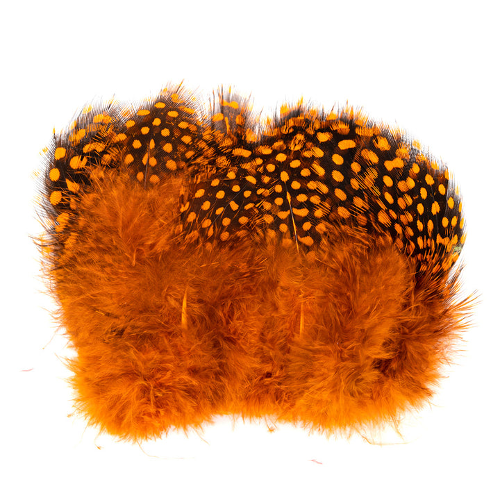 Stung Guinea Feathers