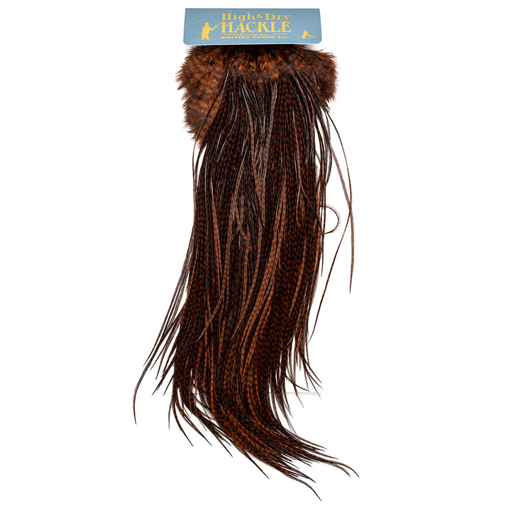 Whiting High and Dry Saddles