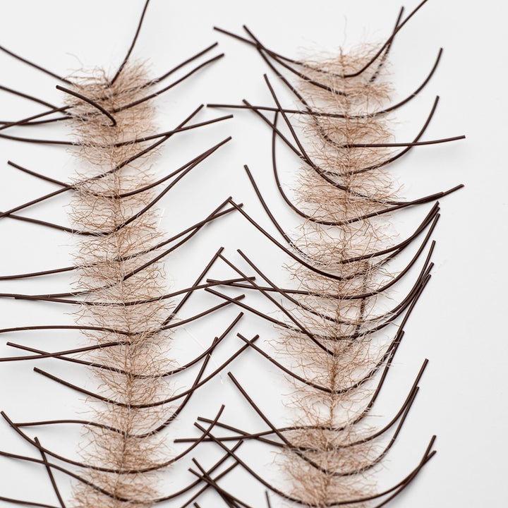 Lively Leg Crustacean Brushes