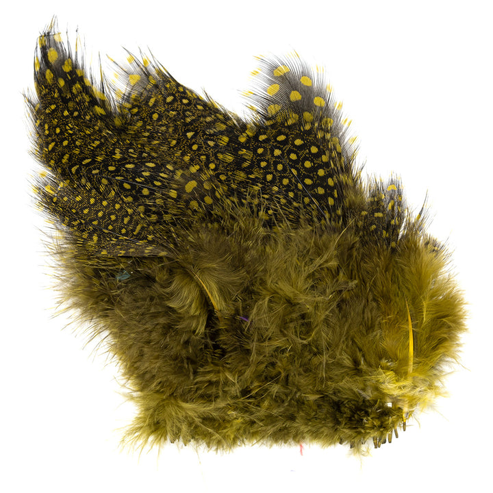 Stung Guinea Feathers