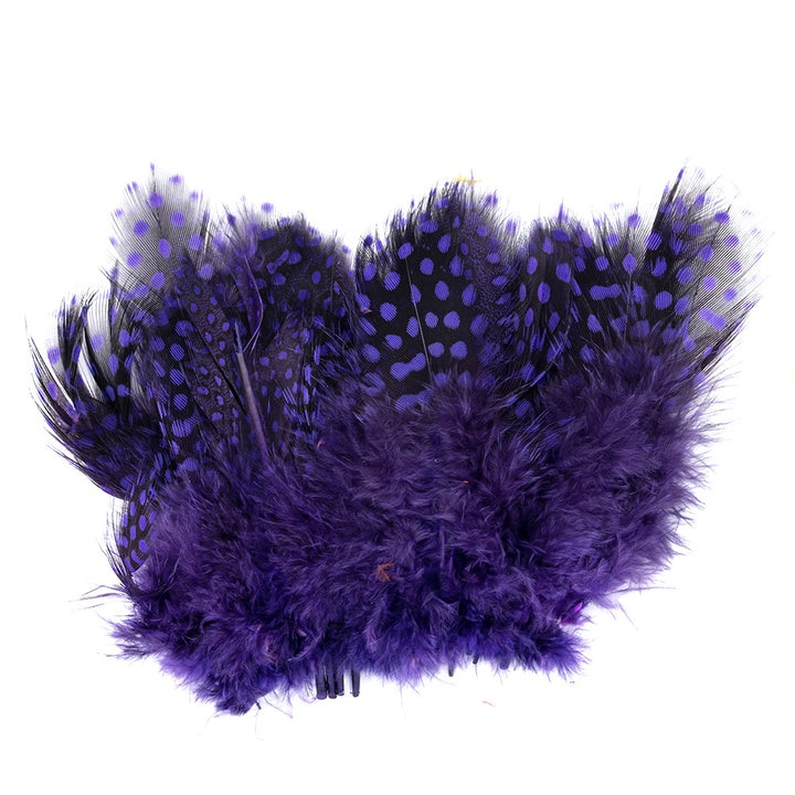 Stung Guinea Feathers