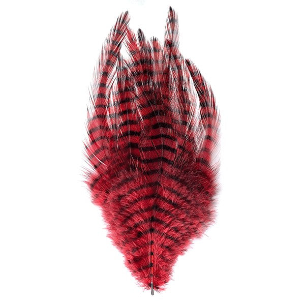 MFC Barred Saddle Hackle