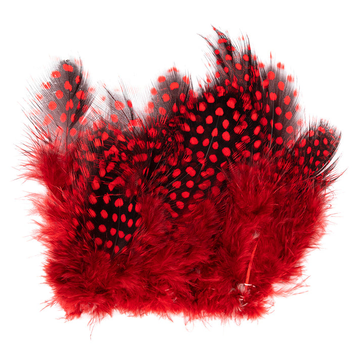 Stung Guinea Feathers