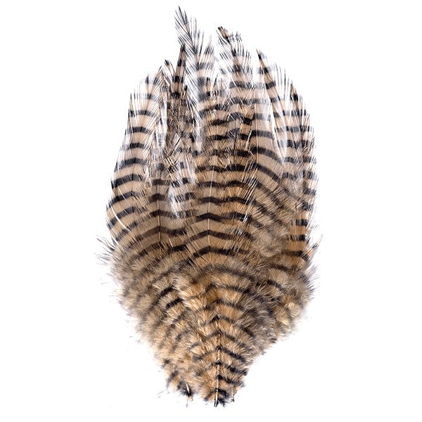 MFC Barred Saddle Hackle