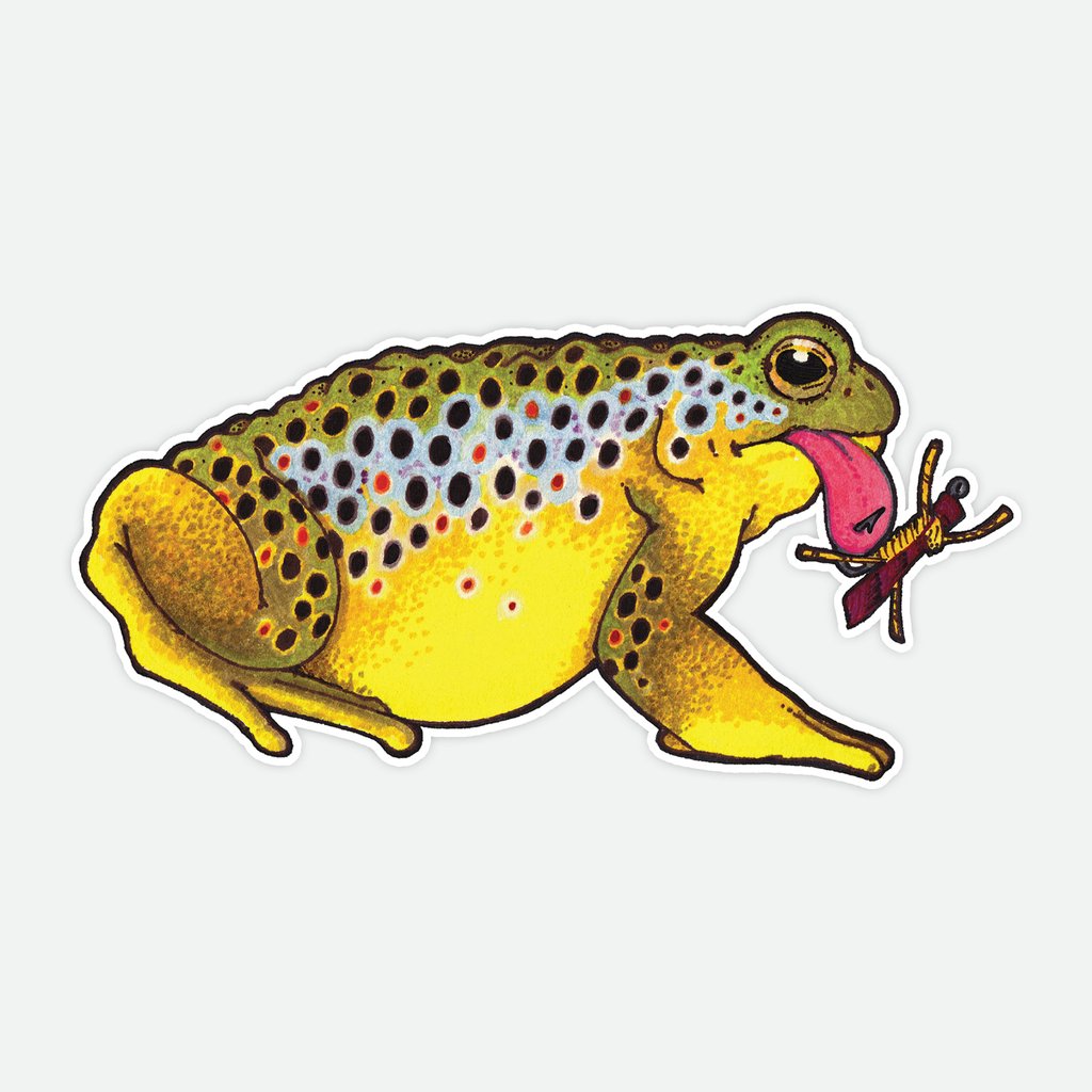 Toad Brown Trout