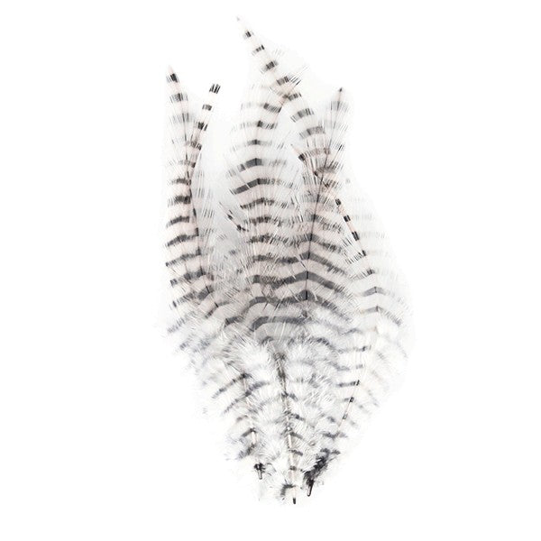 MFC Barred Saddle Hackle