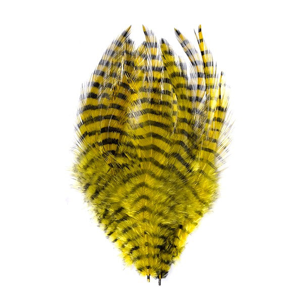 MFC Barred Saddle Hackle