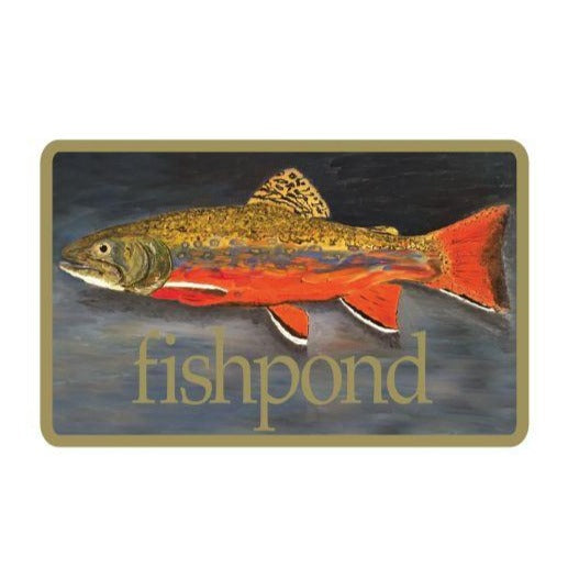 Fishpond Brookie Sticker