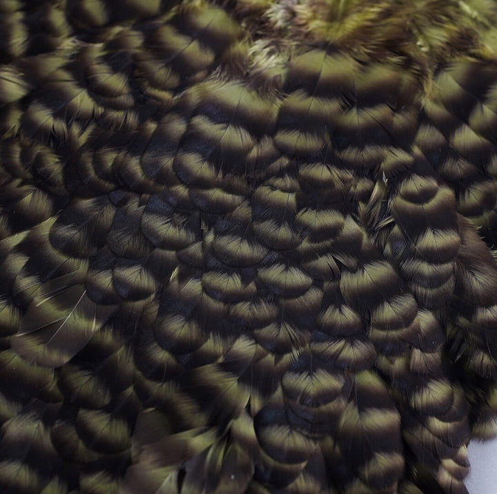 Whiting American Hen Saddles