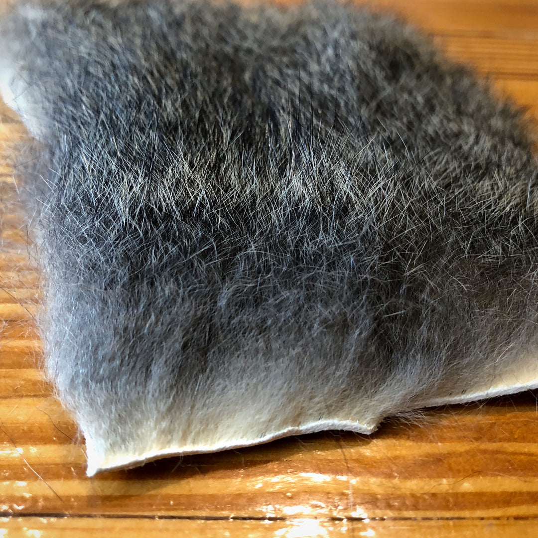 Austrailian Opossum Small Patch