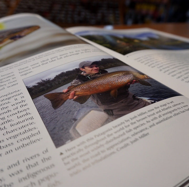 The Brown Trout-Atlantic Salmon Nexus