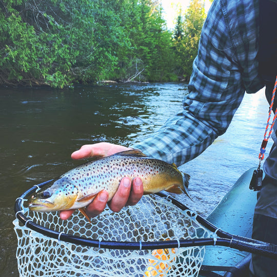 Fishing Report 6/13/20