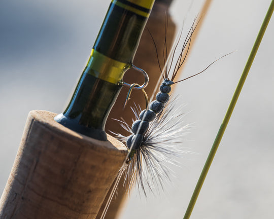 Fishing Report 6/18/21