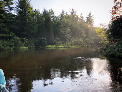 Fishing Report 8/12/19