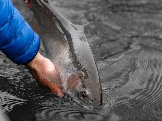 Fishing Report 2/18/22