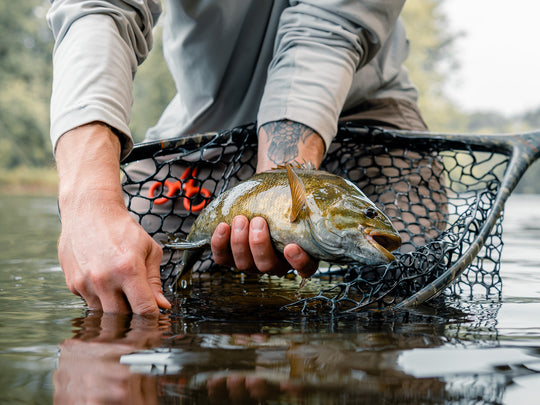 Fishing Report 7/7/23