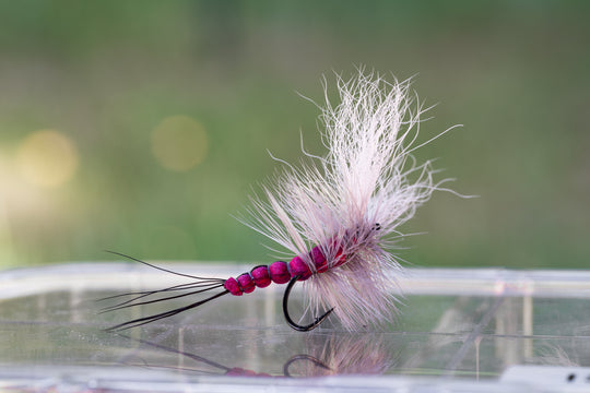 Fishing Report 6/10/21