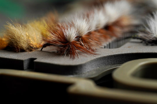 Dries & Emergers with Evan Visuri