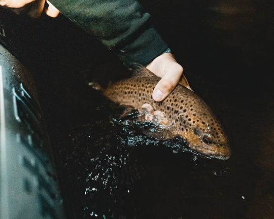 Fishing Report 7/16/21