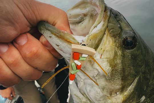 Fishing Report 6/20/25