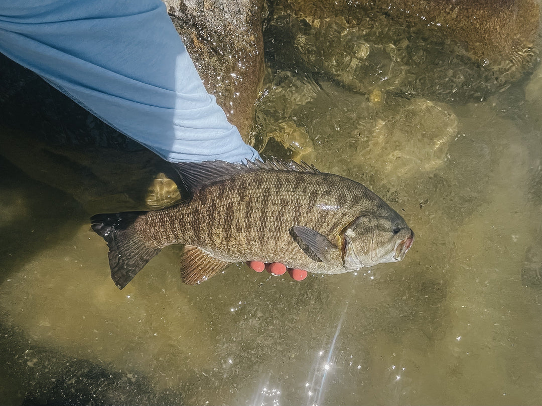 Fishing Report 6/27/25