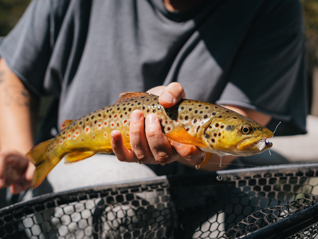 Making Memories on The Water - September 2025 Newsletter