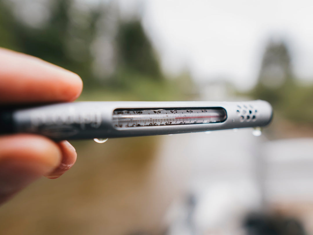 Trout Water Temperature: Safe Temps & Catch-and-Release Tips