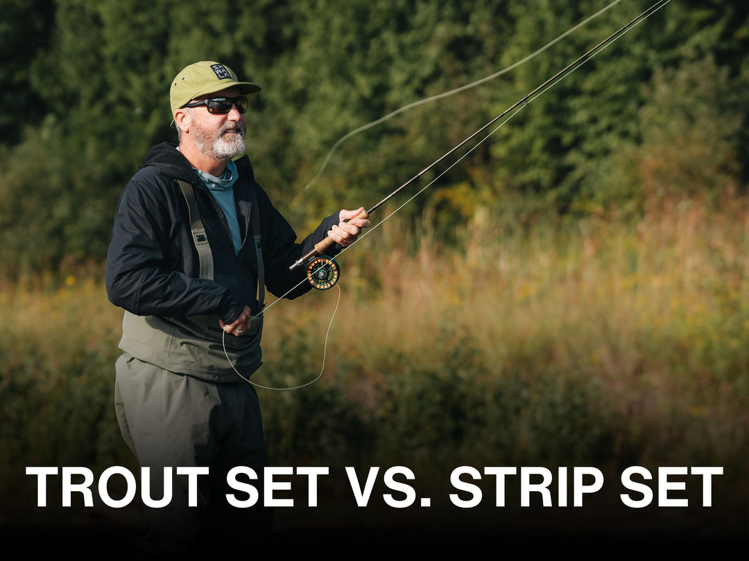 The Trout Set vs. The Strip Set