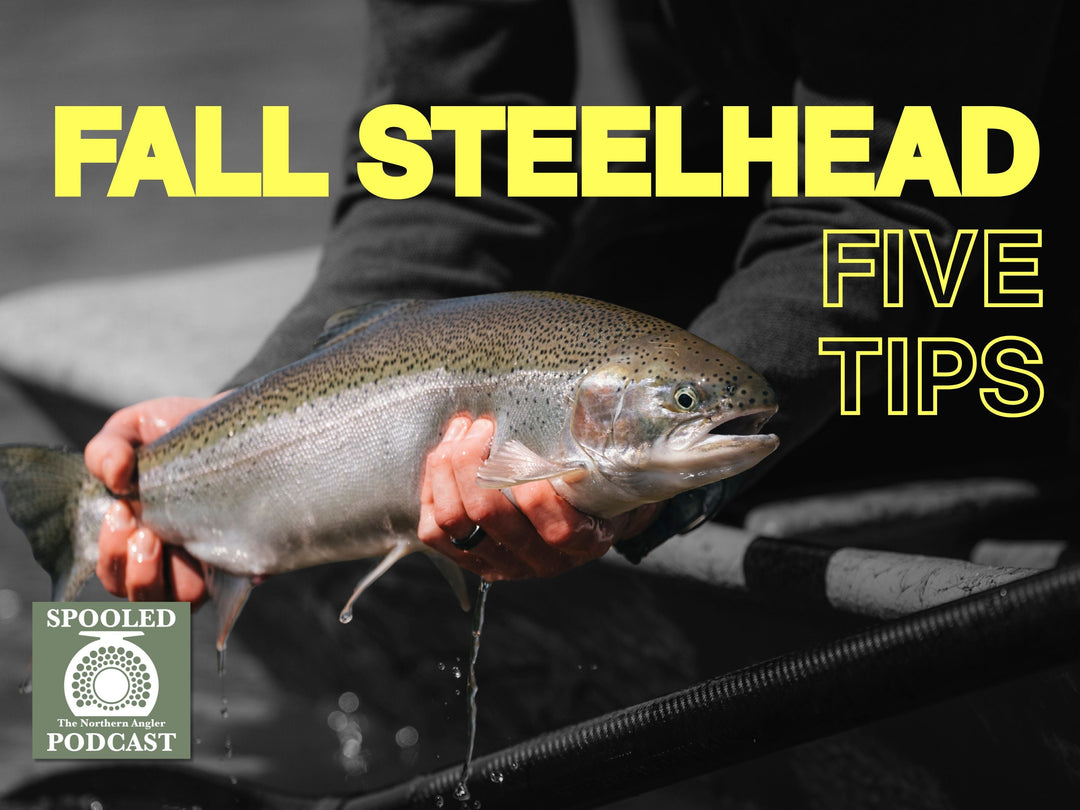 Five Tips for Fall Steelhead | Spooled Podcast Episode #37