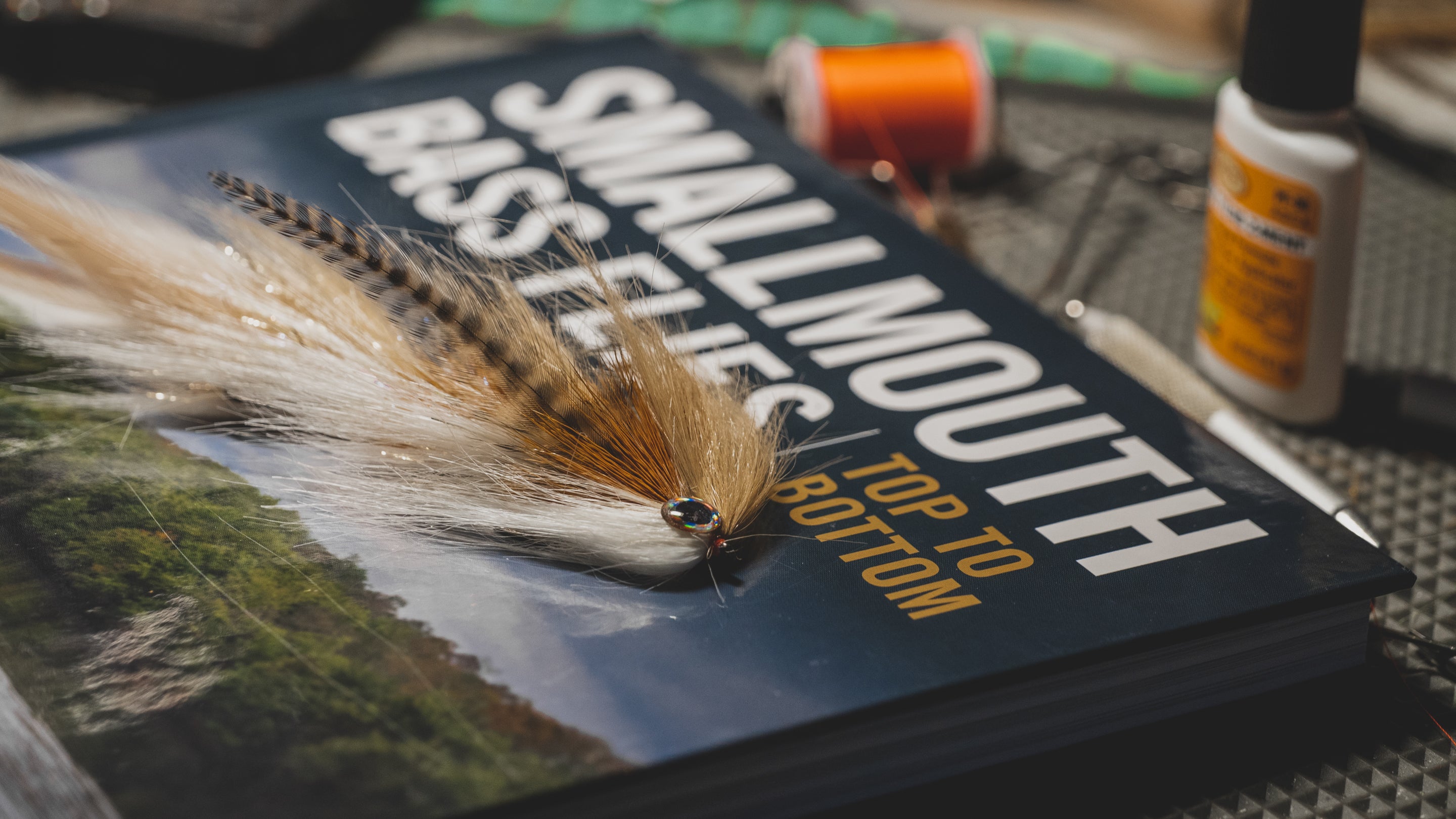 Advanced Fly Fishing for Great Lakes Steelhead by Rick Kustich – The  Northern Angler Fly Shop