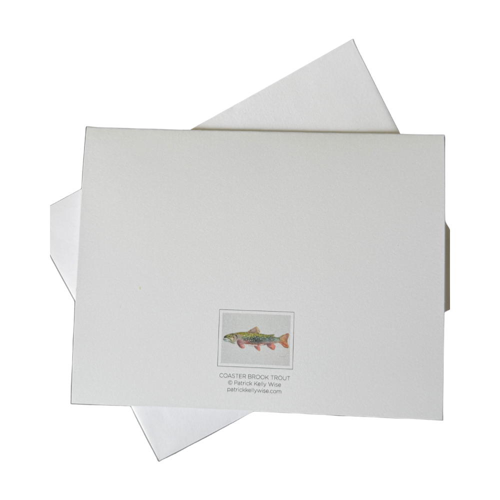 Patrick Kelly Wise Fine Art Notecards