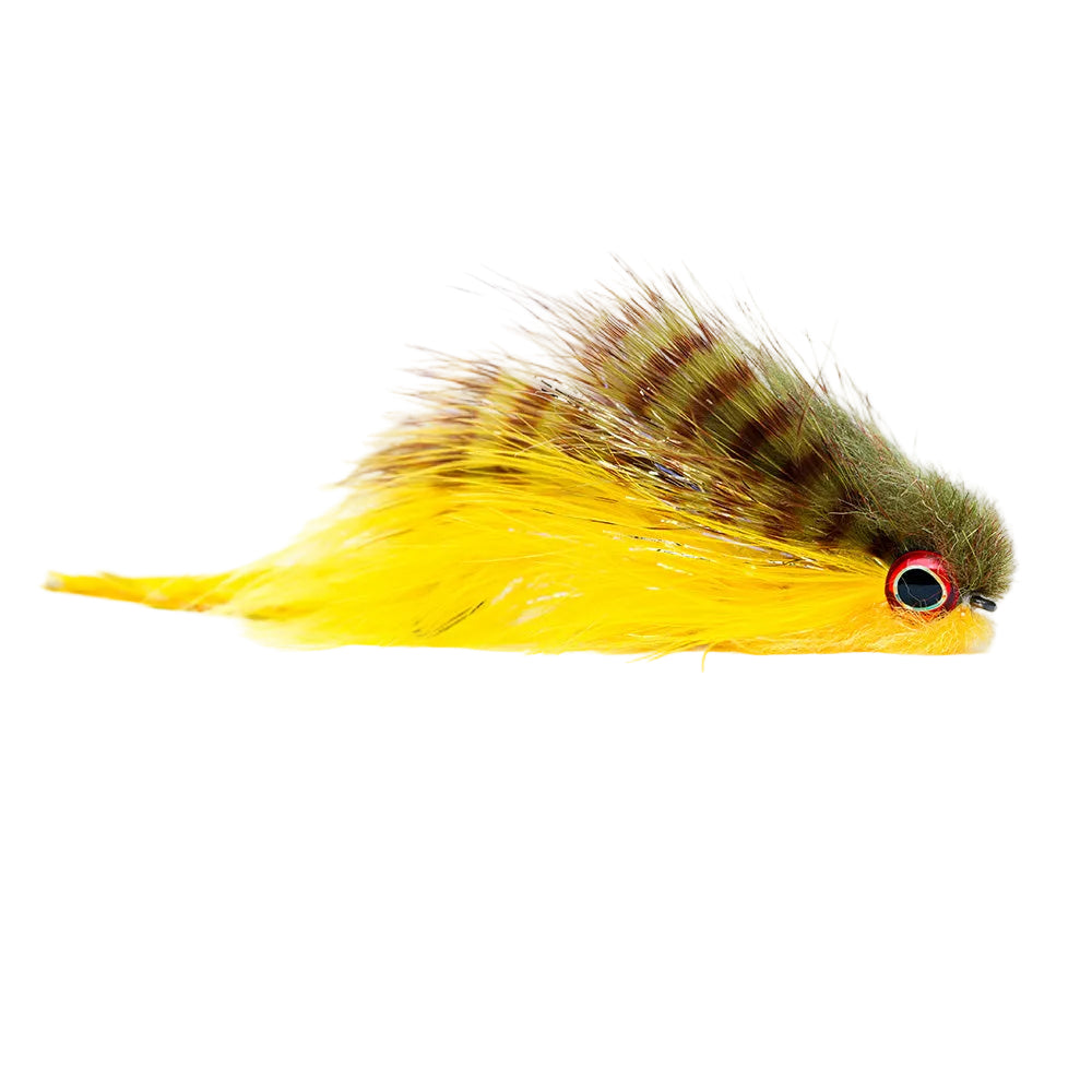 Galloup's Bangtail