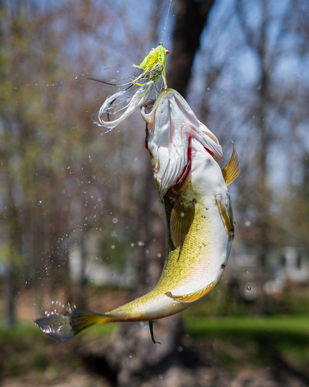 cheese hook fishing Cheese Cup Entry – The Northern Angler Fly Shop