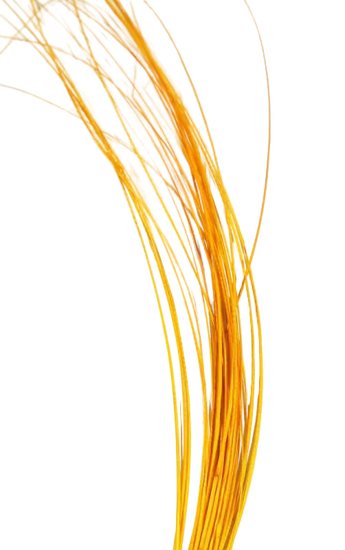Quill Body