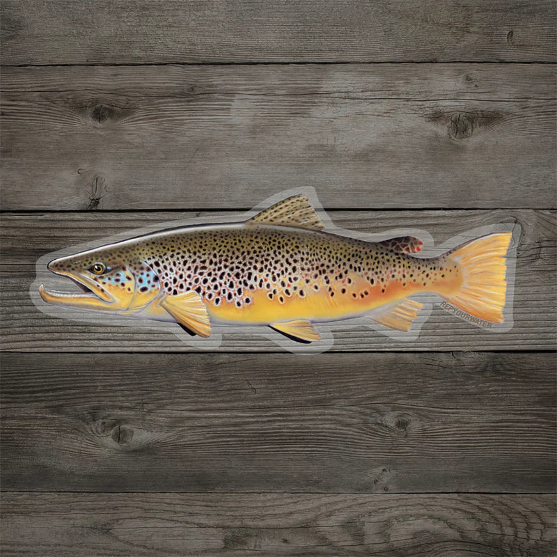 RepYourWater Brown Trout Sticker