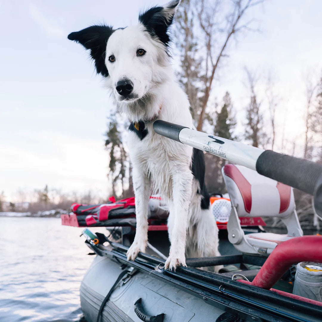 Riversmith Swiftcast Rod Holder