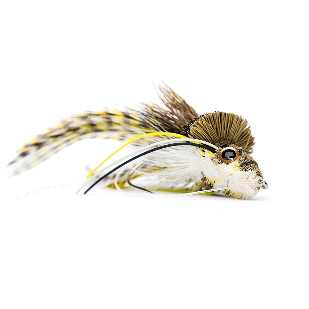 Swim Frog White Belly