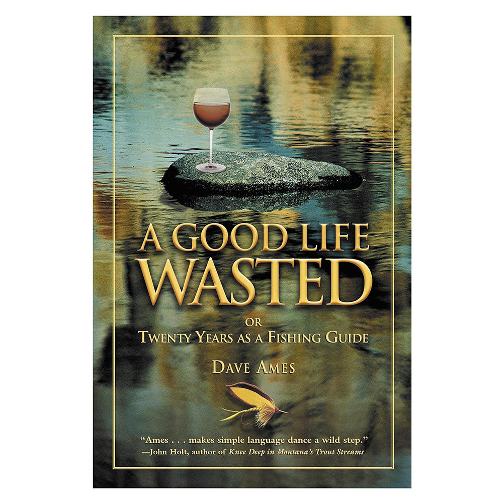 A Good Life Wasted by Dave Ames
